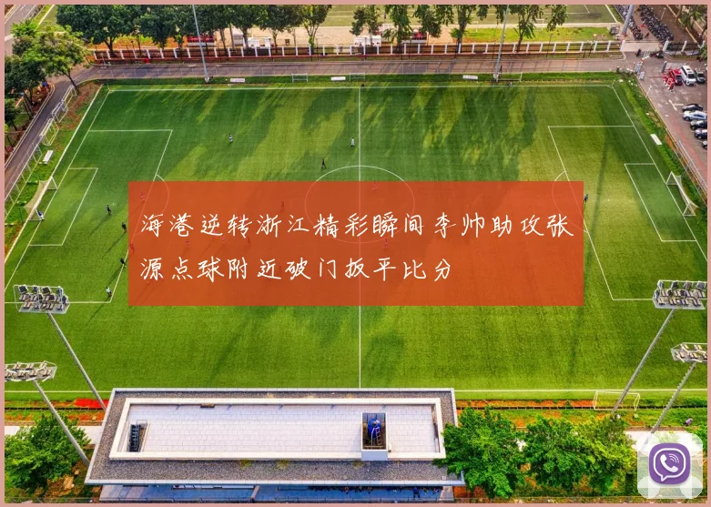 海港逆转浙江精彩瞬间李帅助攻张源点球附近破门扳平比分
