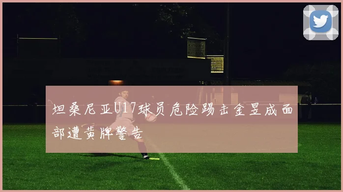 坦桑尼亚U17球员危险踢击金昱成面部遭黄牌警告